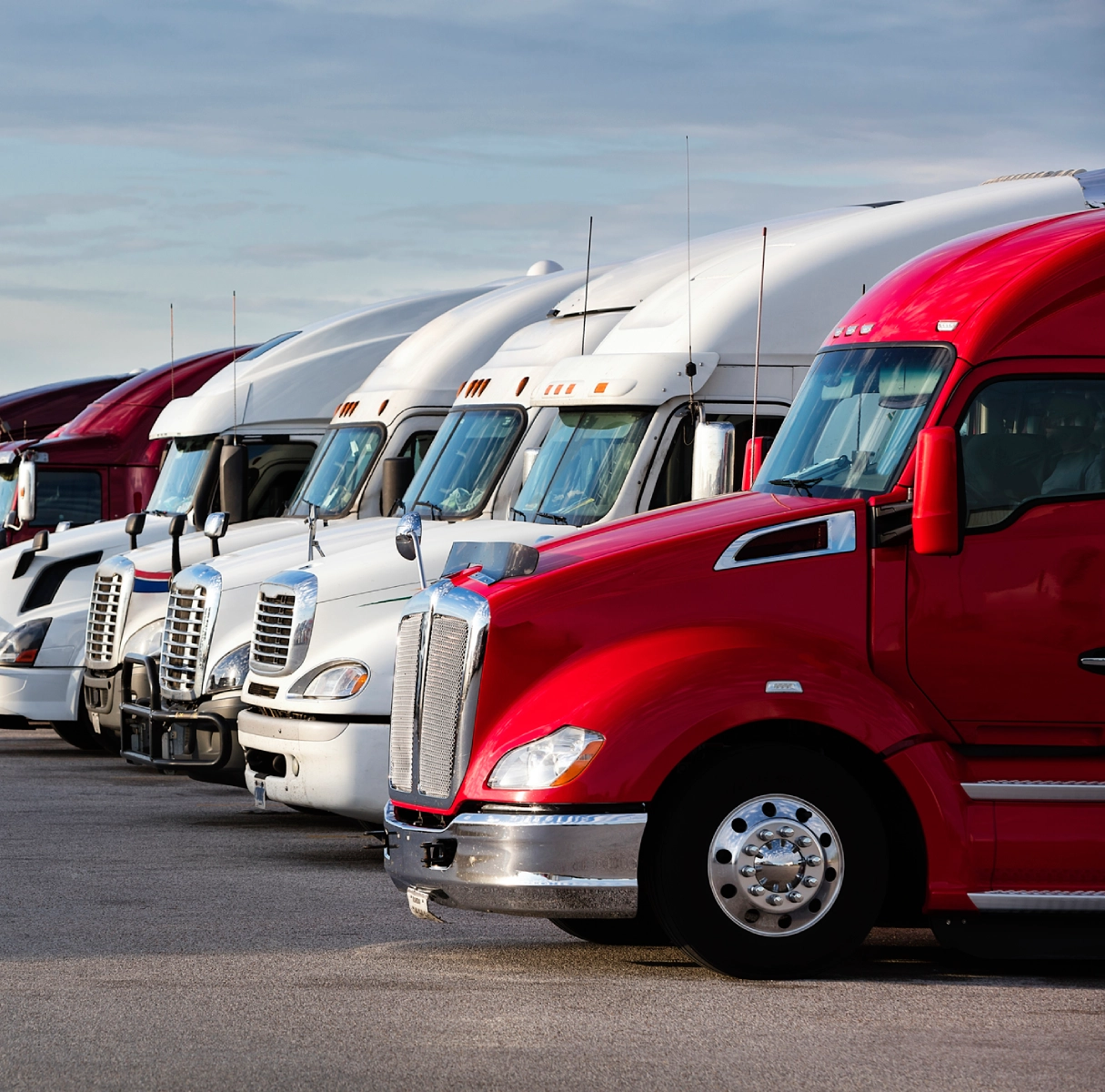 Row of parked semi-trucks in sunlight.